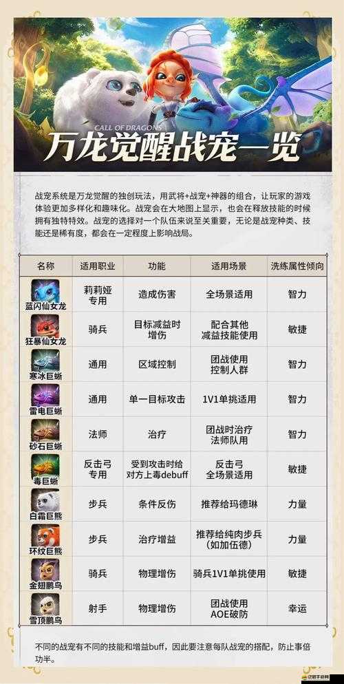 修仙世界如何全面升級并獲取頂級裝備、寵物與飛寵？綜合攻略揭秘！