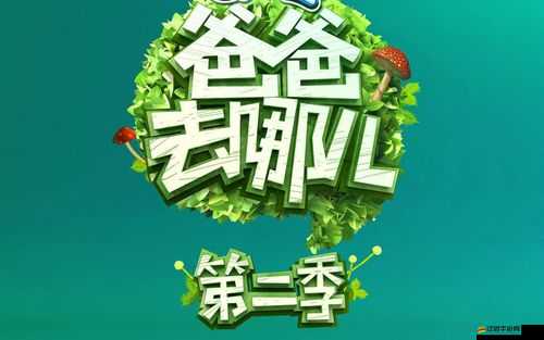 爸爸去哪兒？揭秘快速通關秘籍，未來玩法將如何顛覆性革命？