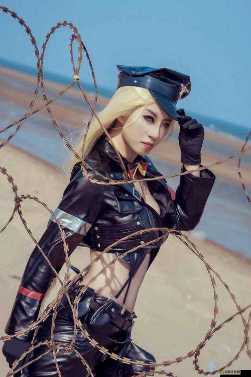 COS亂斗女皇如何搭配陣容才能打出驚人高傷害？攻略心得揭秘！