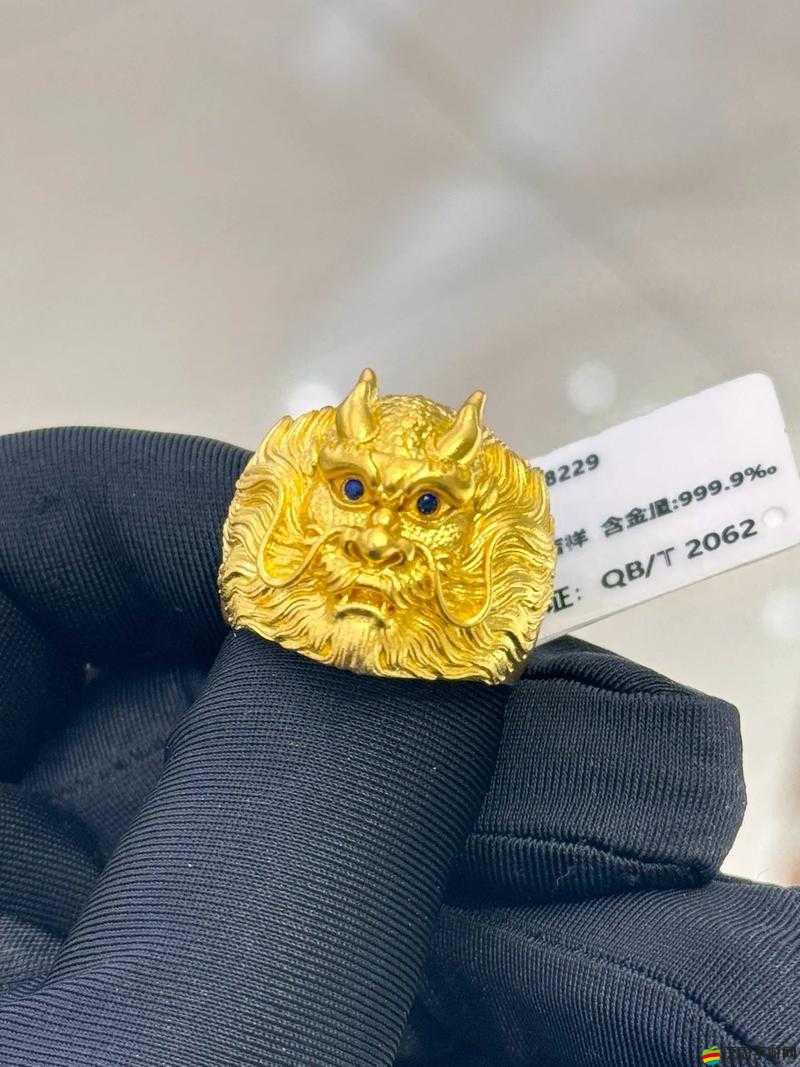 龍戒最大主城究竟隱藏著什么？繁華與榮耀的交匯之地有何秘密？