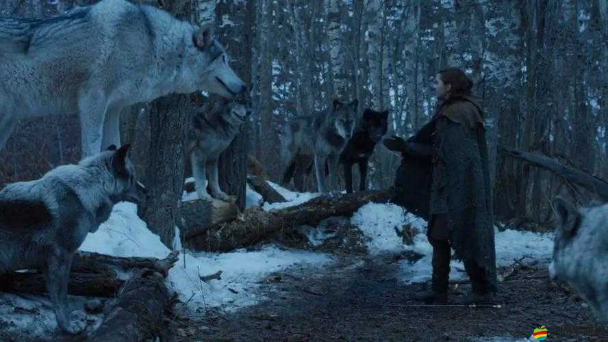 指揮中心究竟有何奧秘？權(quán)力游戲OL建筑全面介紹攻略揭秘