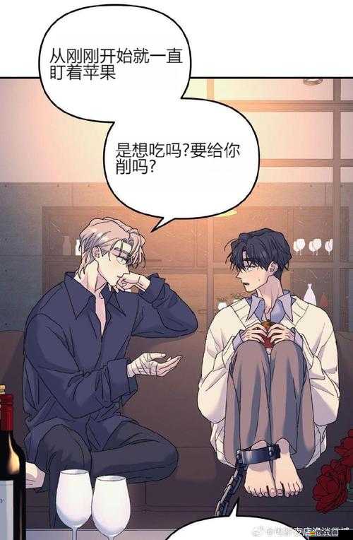 皇帝如何崛起？揭秘最貼心日記體攻略，探索資源管理藝術(shù)之謎