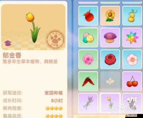 青丘狐傳說手游中香爐如何獲取？全面解析獲取途徑攻略