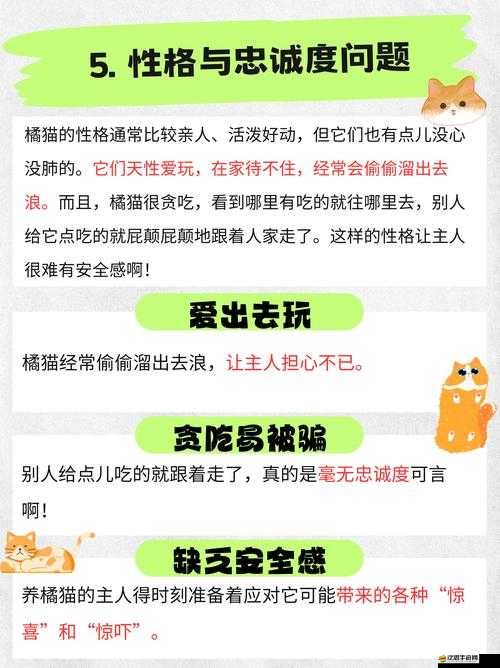 喵將傳基本屬性全揭秘，策略冒險如何完美融合成懸念？