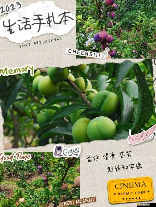 水果派對果園種植如何預見未來？三大革命性玩法引發懸念！