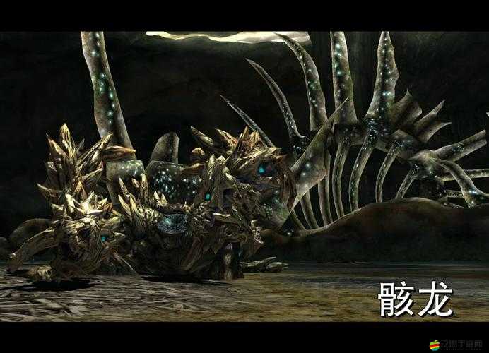 龍之骨怪物盤點（10），終極BOSS究竟隱藏著什么驚人秘密？