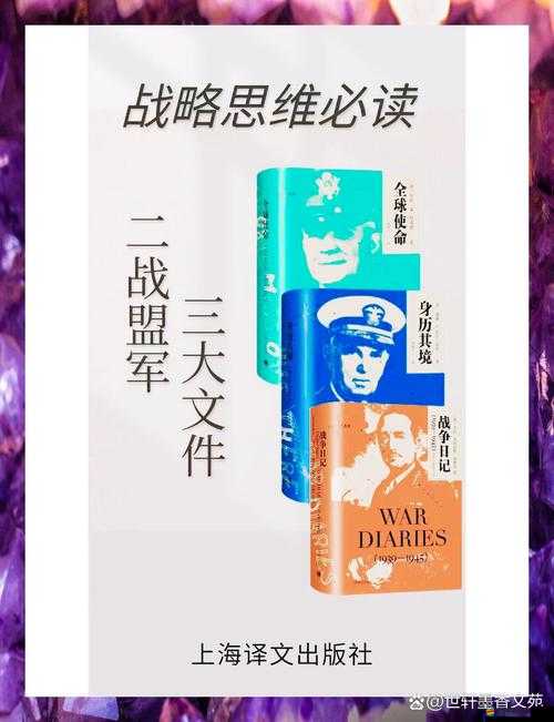 權(quán)力的游戲背后，蒙哥馬利盟軍將領(lǐng)的真實角色與動機(jī)揭秘？