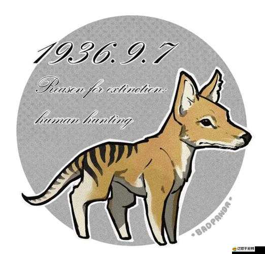 嗨皮精靈中袋狼如何獲取？袋狼屬性技能全面解析揭秘！