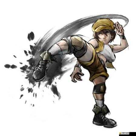 功夫全明星武師蘇花子，真實技藝大揭秘，哪些誤解亟待澄清？