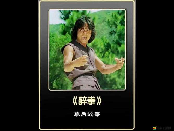 功夫全明星武師揭秘，醉燕的傳奇演變史，背后有何不為人知的故事？