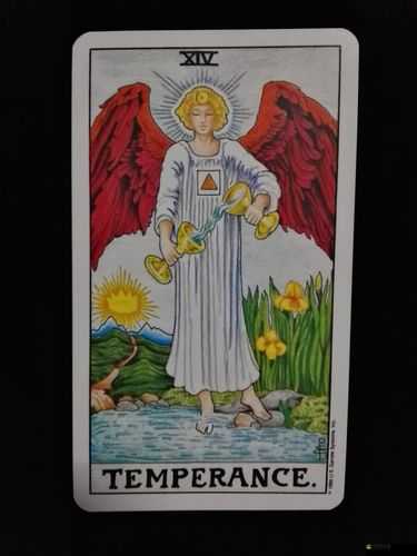 進擊吧食尸鬼！塔羅牌新手如何巧妙運用，攻略揭秘？