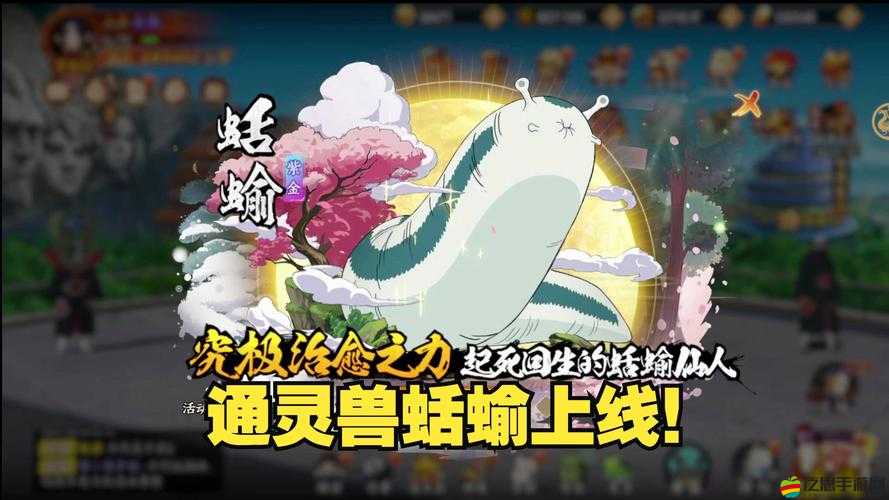 綱手的通靈獸蛞蝓仙人究竟擁有哪些獨(dú)特的醫(yī)療與戰(zhàn)斗能力？