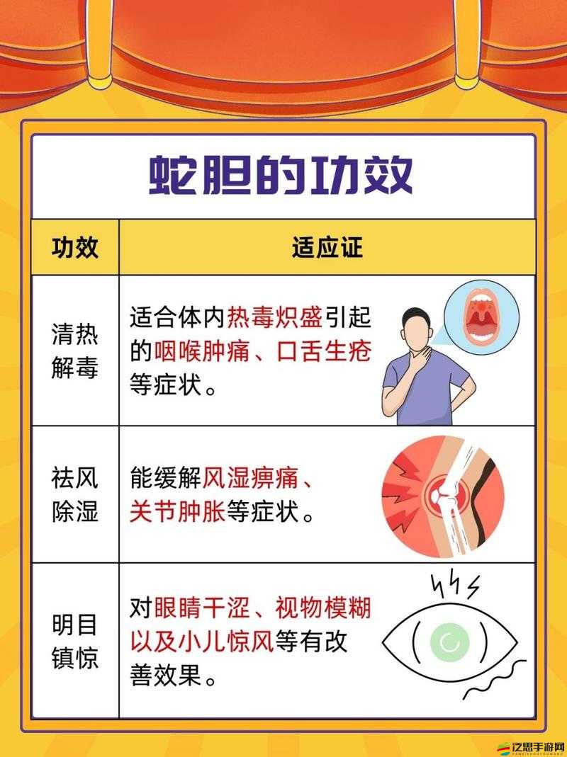 大掌門蛇膽的10大驚人好處：提升健康與增強免疫力的秘密